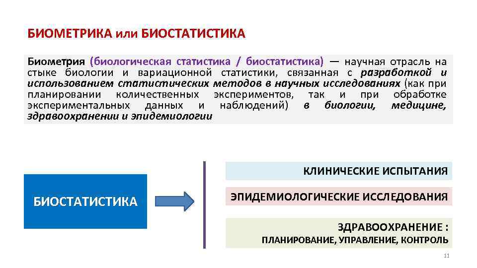 БИОМЕТРИКА или БИОСТАТИСТИКА Биометрия (биологическая статистика / биостатистика) — научная отрасль на стыке биологии