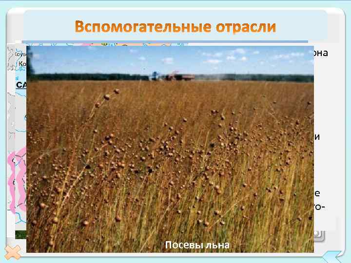 ТЭК района ориентируется на Сельское хозяйство района Урожай с пригородных хозяйств привозное топливо. Район