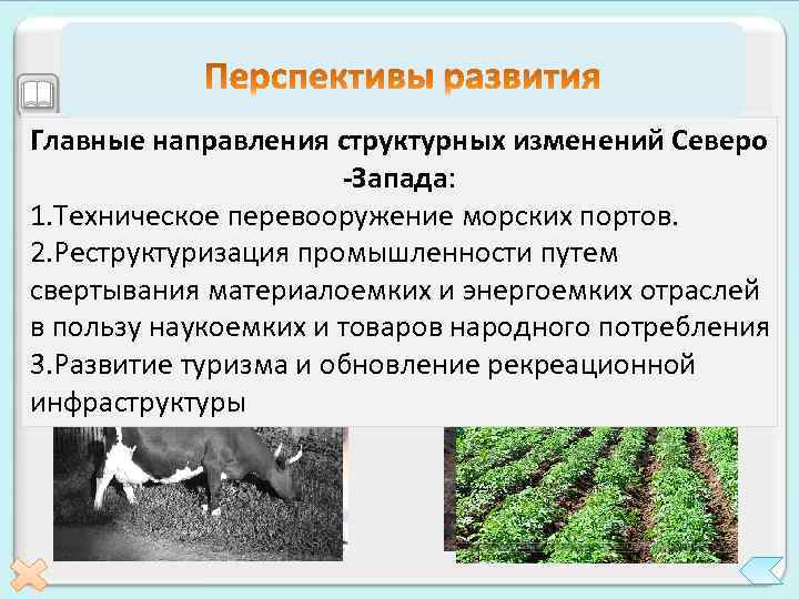 Высокая направления структурных изменений Северо В связи с тем, времянастоящее время Северо-Западного настоящее что