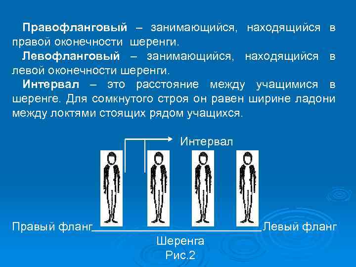 Правофланговый – занимающийся, находящийся в правой оконечности шеренги. Левофланговый – занимающийся, находящийся в левой