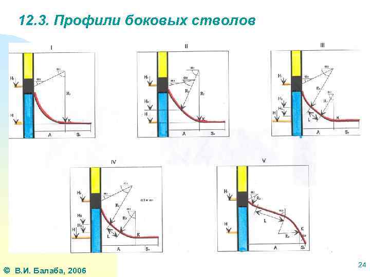 12. 3. Профили боковых стволов В. И. Балаба, 2006 24 