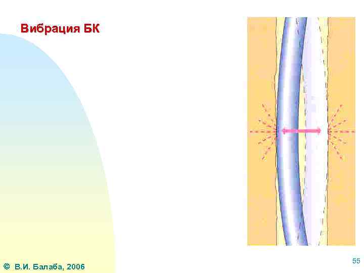 Вибрация БК В. И. Балаба, 2006 55 