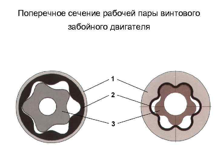 Поперечное сечение рабочей пары винтового забойного двигателя 