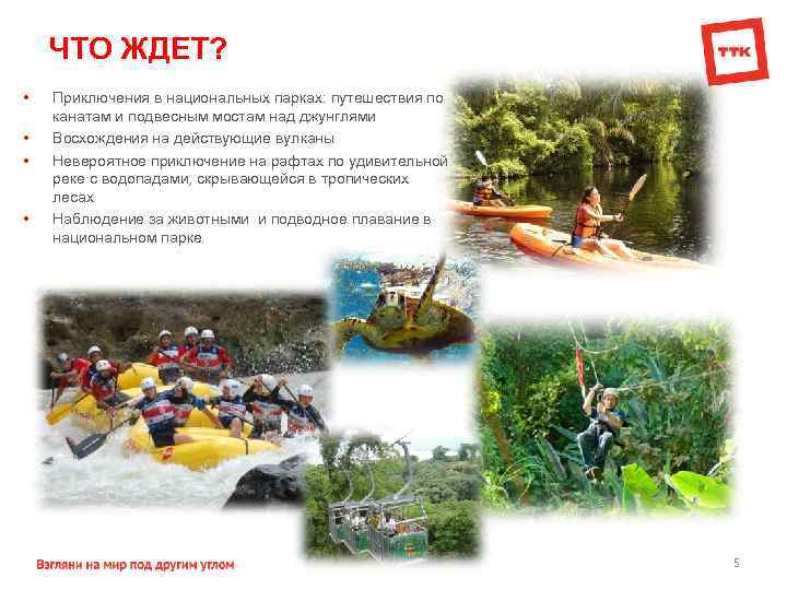 ЧТО ЖДЕТ? • • Приключения в национальных парках: путешествия по канатам и подвесным мостам