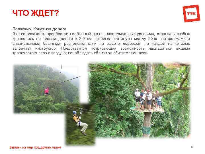 ЧТО ЖДЕТ? Папагайо. Канатная дорога Это возможность приобрести необычный опыт в экстремальных условиях, скользя