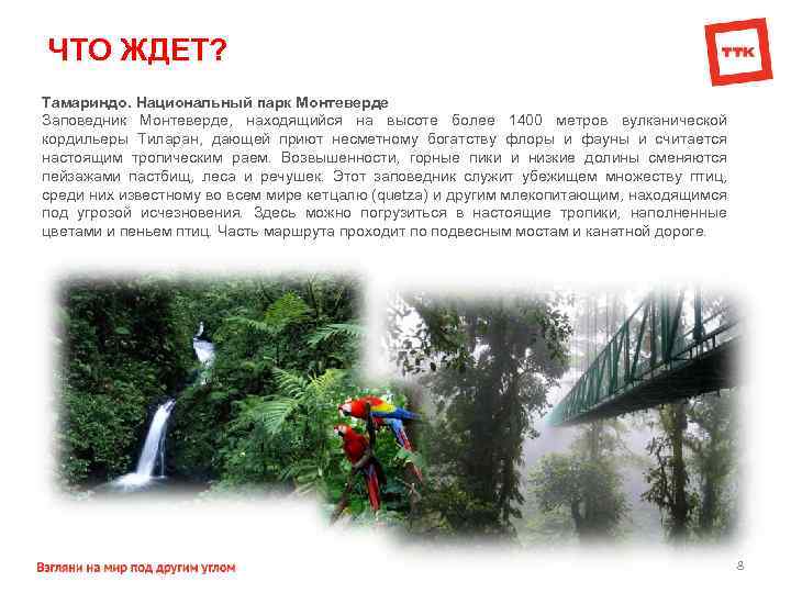 ЧТО ЖДЕТ? Тамариндо. Национальный парк Монтеверде Заповедник Монтеверде, находящийся на высоте более 1400 метров