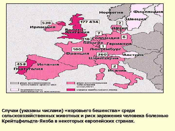 Случаи (указаны числами) «коровьего бешенства» среди сельскохозяйственных животных и риск заражения человека болезнью Крейтцфельдта-Якоба