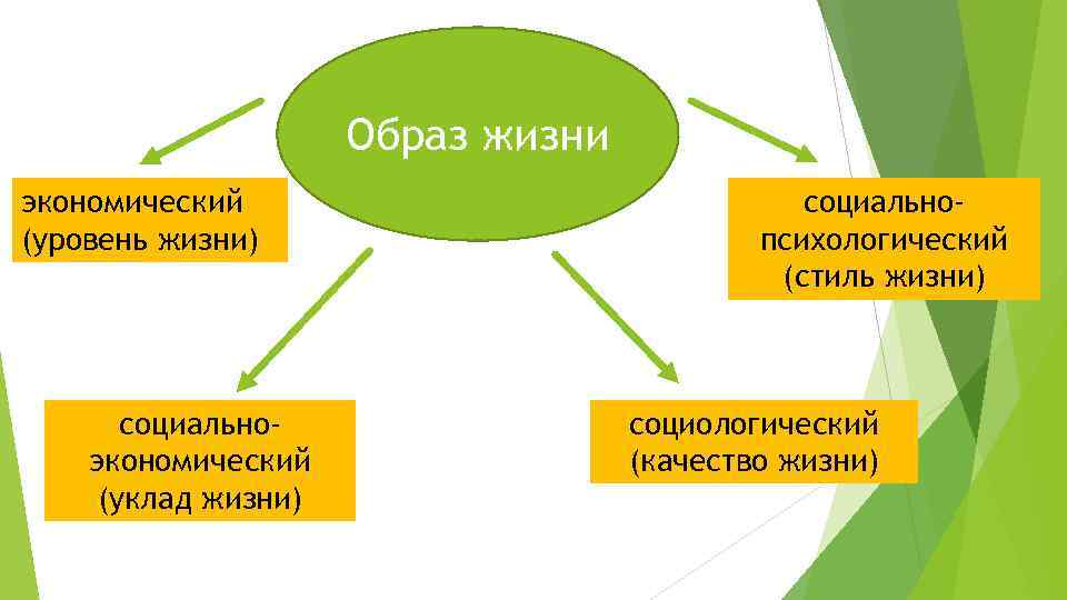 Образ жизни экономический (уровень жизни) социальноэкономический (уклад жизни) социальнопсихологический (стиль жизни) социологический (качество жизни)