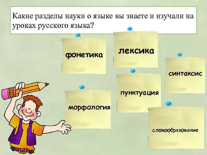 Какие разделы науки о языке вы знаете и изучали на уроках русского языка? фонетика