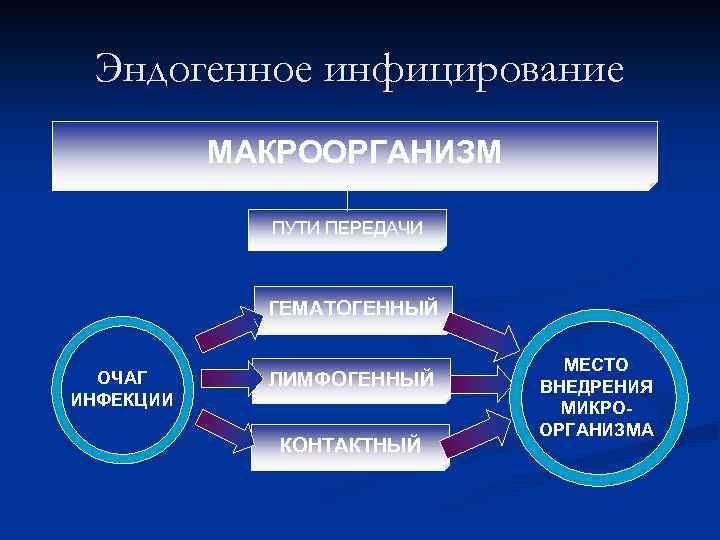Эндогенное инфицирование МАКРООРГАНИЗМ ПУТИ ПЕРЕДАЧИ ГЕМАТОГЕННЫЙ ОЧАГ ИНФЕКЦИИ ЛИМФОГЕННЫЙ КОНТАКТНЫЙ МЕСТО ВНЕДРЕНИЯ МИКРООРГАНИЗМА 