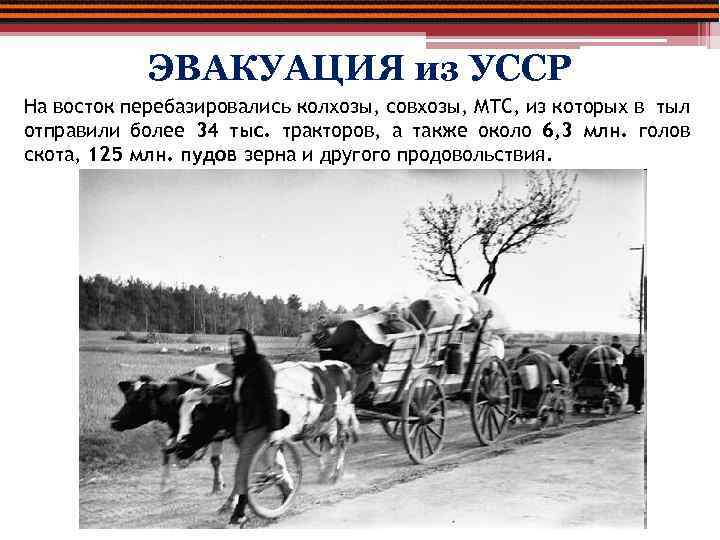 ЭВАКУАЦИЯ из УССР На восток перебазировались колхозы, совхозы, МТС, из которых в тыл отправили
