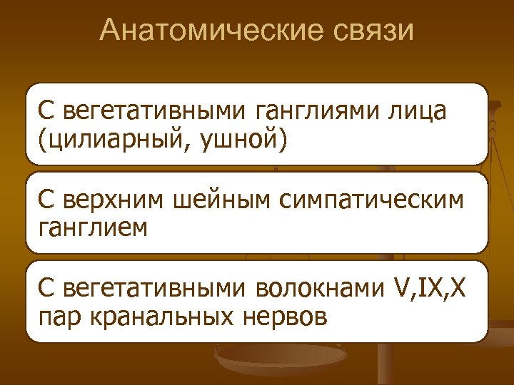 Анатомические связи С вегетативными ганглиями лица (цилиарный, ушной) С верхним шейным симпатическим ганглием С