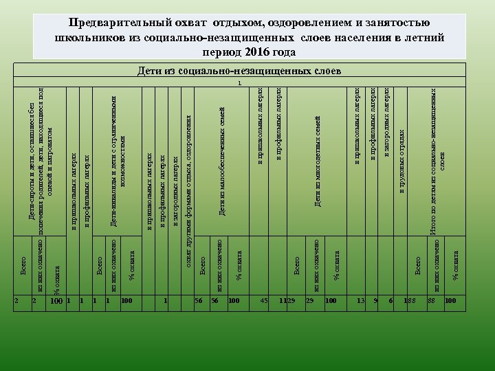 2 2 100 1 1 100 1 в загородных лагерях в профильных лагерях в