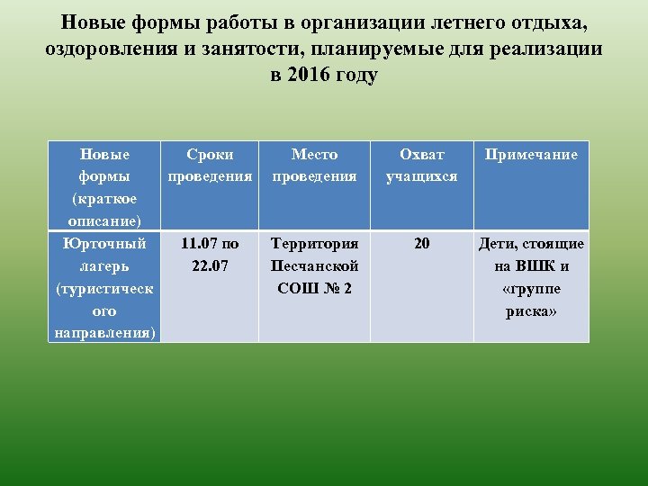 Новые формы работы в организации летнего отдыха, оздоровления и занятости, планируемые для реализации в