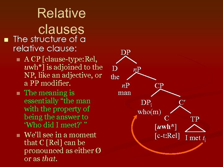 n Relative clauses The structure of a relative clause: n n n DP A