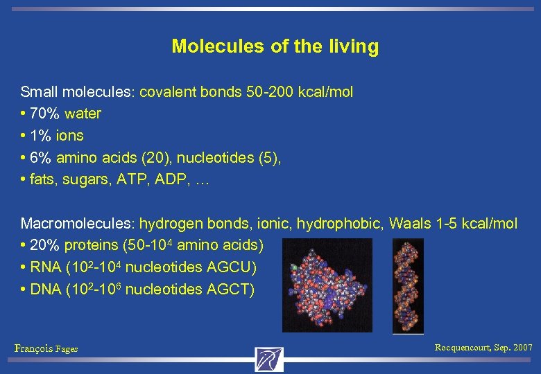 Molecules of the living Small molecules: covalent bonds 50 -200 kcal/mol • 70% water