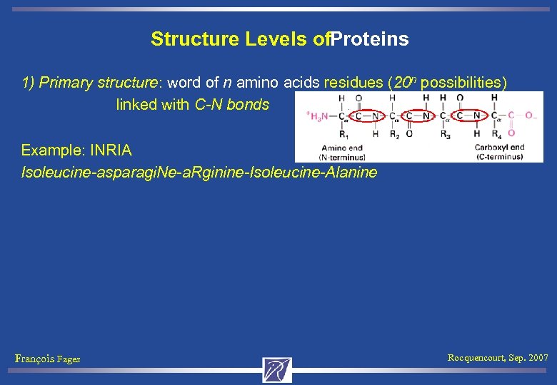 Structure Levels of. Proteins 1) Primary structure: word of n amino acids residues (20
