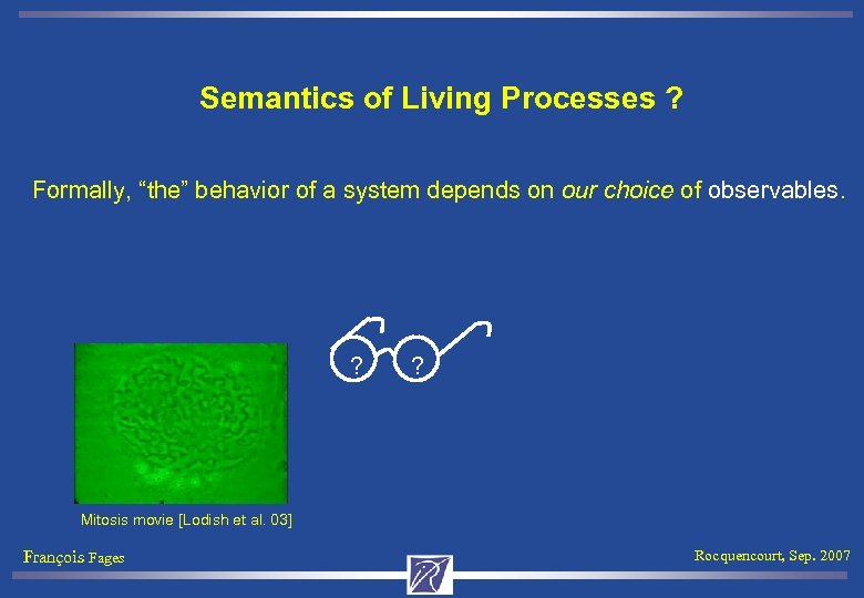 Semantics of Living Processes ? Formally, “the” behavior of a system depends on our