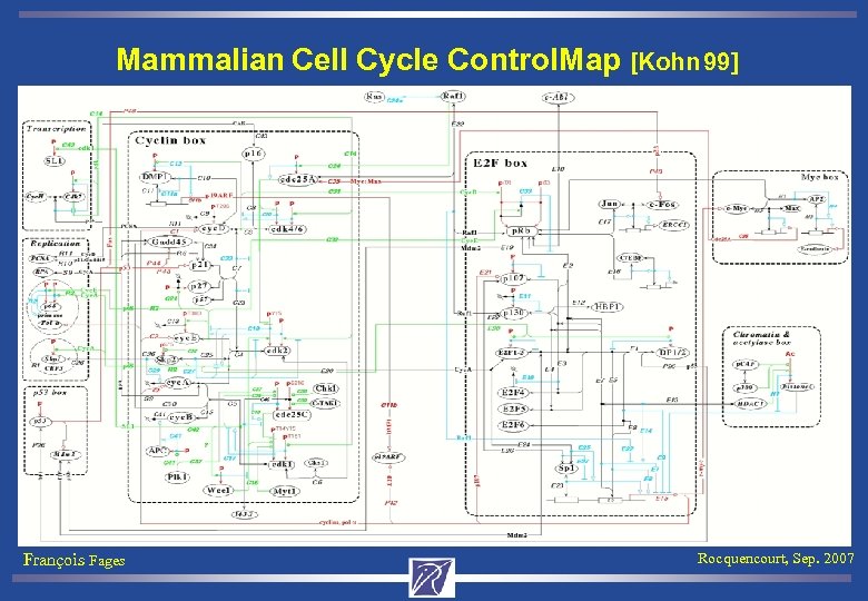 Mammalian Cell Cycle Control. Map [Kohn 99] François Fages Rocquencourt, Sep. 2007 