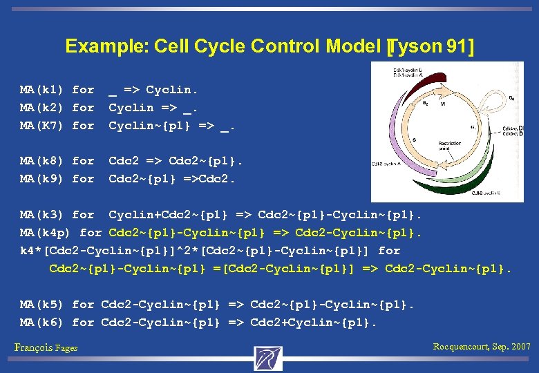 Example: Cell Cycle Control Model Tyson 91] [ MA(k 1) for MA(k 2) for