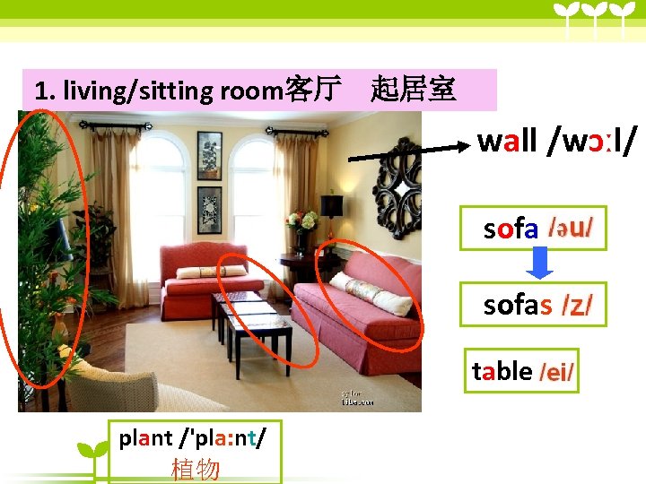 1. living/sitting room客厅　起居室　 wall /wɔːl/ sofas table plant /'pla: nt/ 植物 