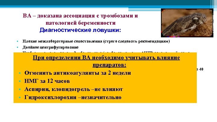 ВА – доказана ассоциация с тромбозами и патологией беременности Диагностические ловушки: • Плохие межлабораторные