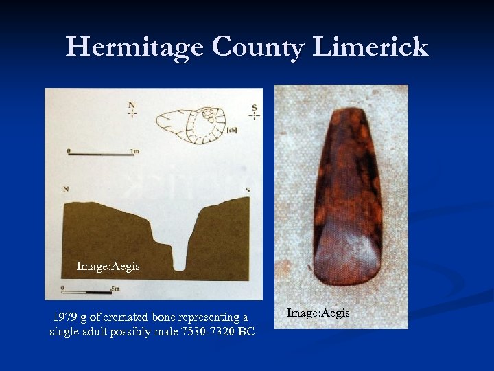 Hermitage County Limerick Image: Aegis 1979 g of cremated bone representing a single adult