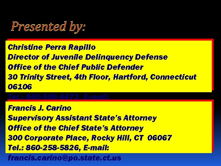 Presented by: Christine Perra Rapillo Director of Juvenile Delinquency Defense Office of the Chief