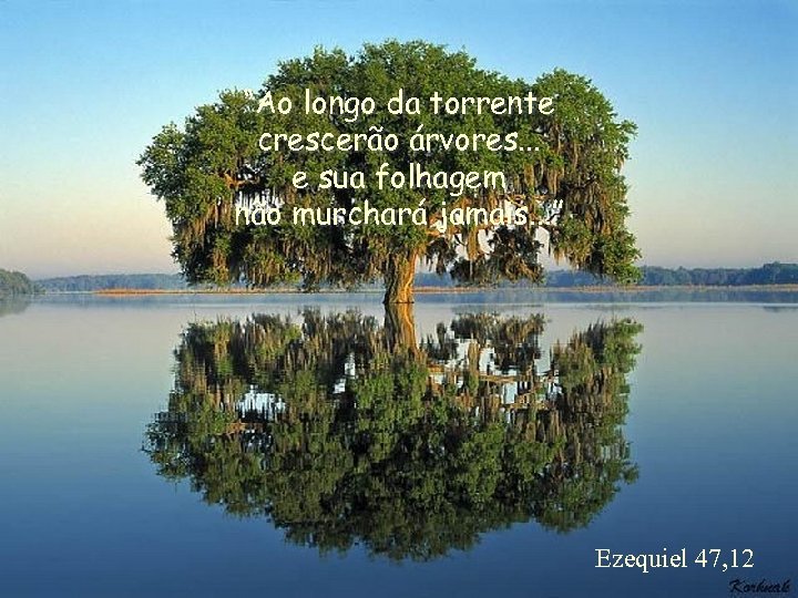 “Ao longo da torrente crescerão árvores. . . e sua folhagem não murchará jamais.