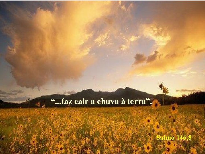 “. . . faz cair a chuva à terra”. Salmo 146, 8 