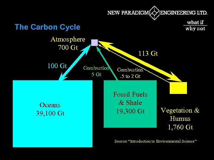 The Carbon Cycle Atmosphere 700 Gt 100 Gt Oceans 39, 100 Gt Combustion 5