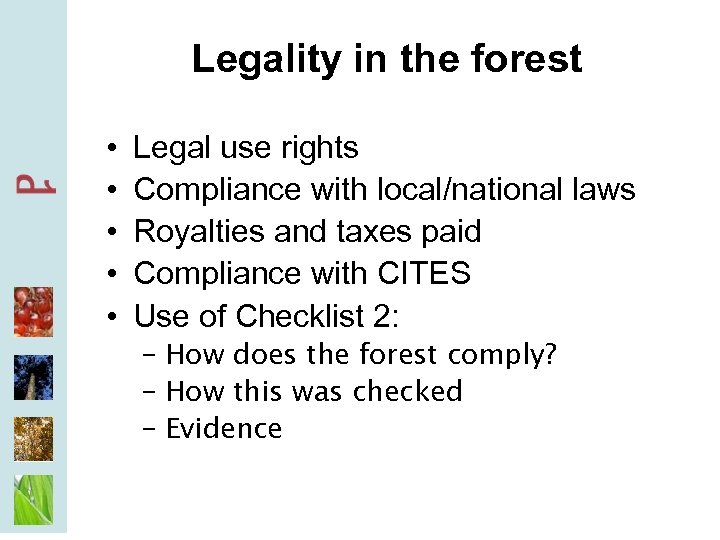 Legality in the forest • • • Legal use rights Compliance with local/national laws