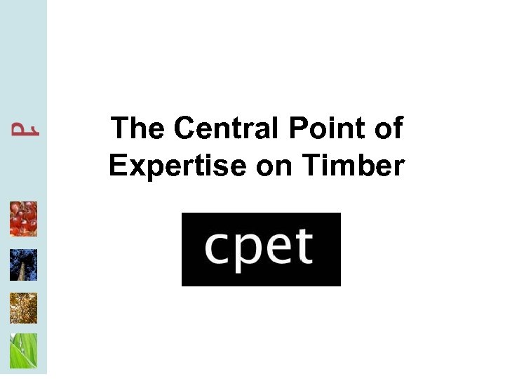 The Central Point of Expertise on Timber 