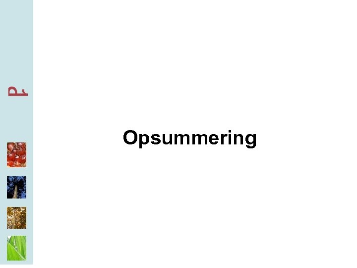 Opsummering 