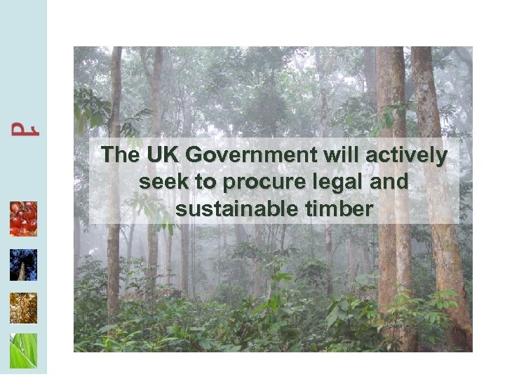 The UK Government will actively seek to procure legal and sustainable timber 
