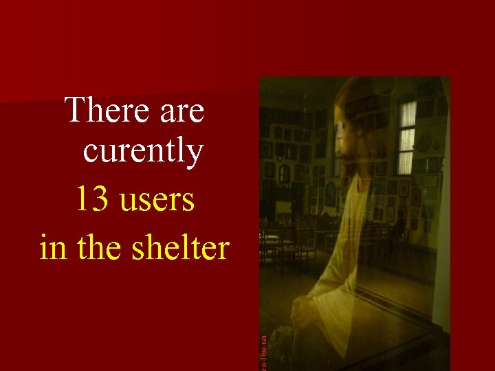 There are curently 13 users in the shelter 