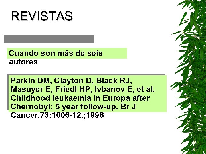 REVISTAS Cuando son más de seis autores Parkin DM, Clayton D, Black RJ, Masuyer