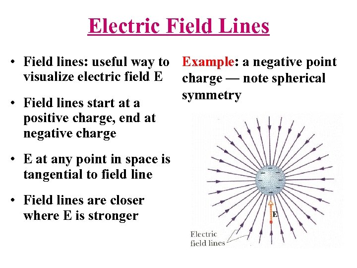 Electric Field Lines • Field lines: useful way to Example: a negative point visualize