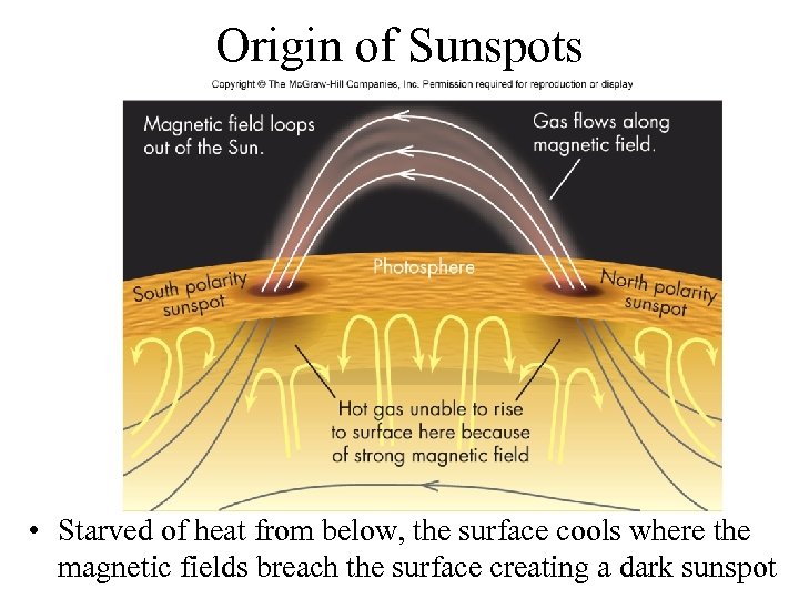 Origin of Sunspots • Starved of heat from below, the surface cools where the