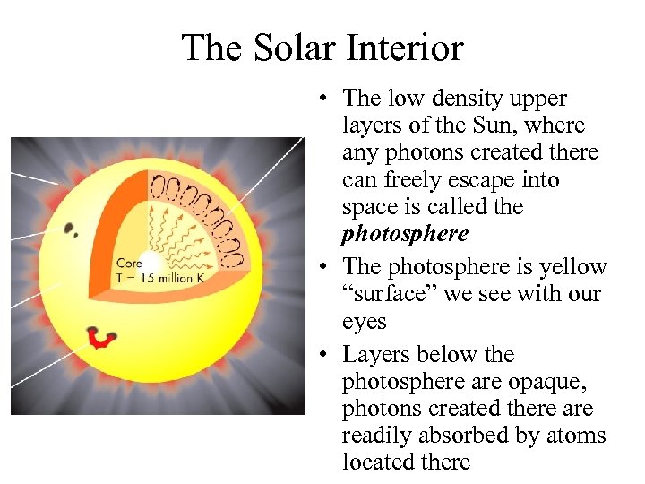 The Solar Interior • The low density upper layers of the Sun, where any