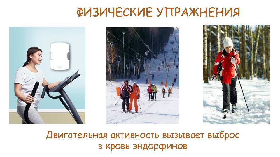 ФИЗИЧЕСКИЕ УПРАЖНЕНИЯ Двигательная активность вызывает выброс в кровь эндорфинов 