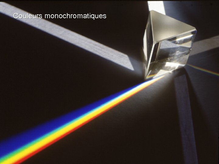 Couleurs monochromatiques 