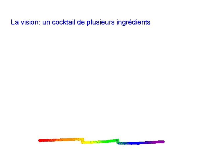 La vision: un cocktail de plusieurs ingrédients 