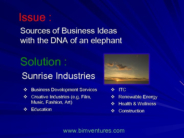 Issue : Sources of Business Ideas with the DNA of an elephant Solution :