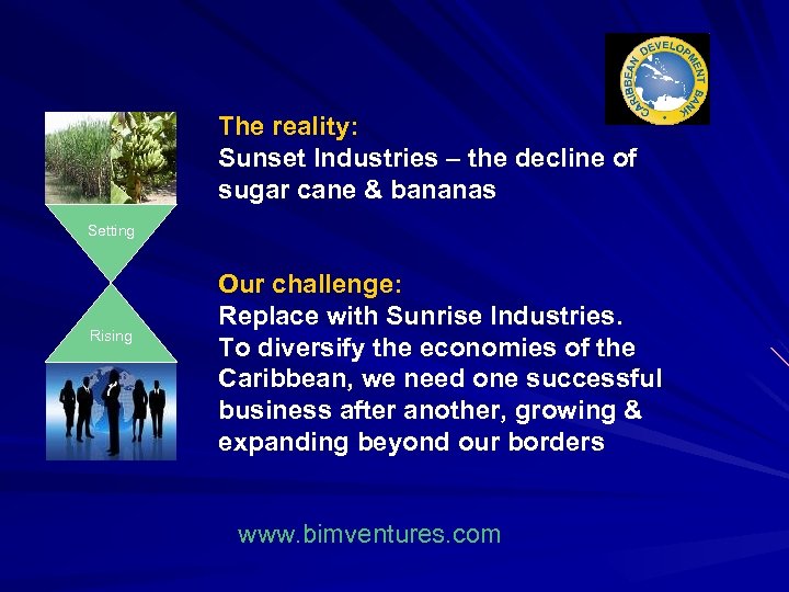 The reality: Sunset Industries – the decline of sugar cane & bananas Setting Rising