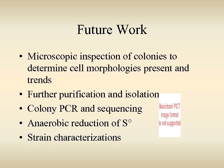 Future Work • Microscopic inspection of colonies to determine cell morphologies present and trends