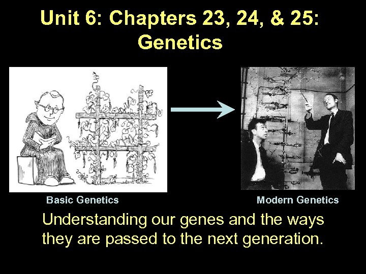 Unit 6: Chapters 23, 24, & 25: Genetics Basic Genetics Modern Genetics Understanding our