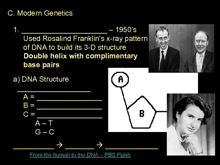 C. Modern Genetics 1. ___________ – 1950’s Used Rosalind Franklin’s x-ray pattern of DNA