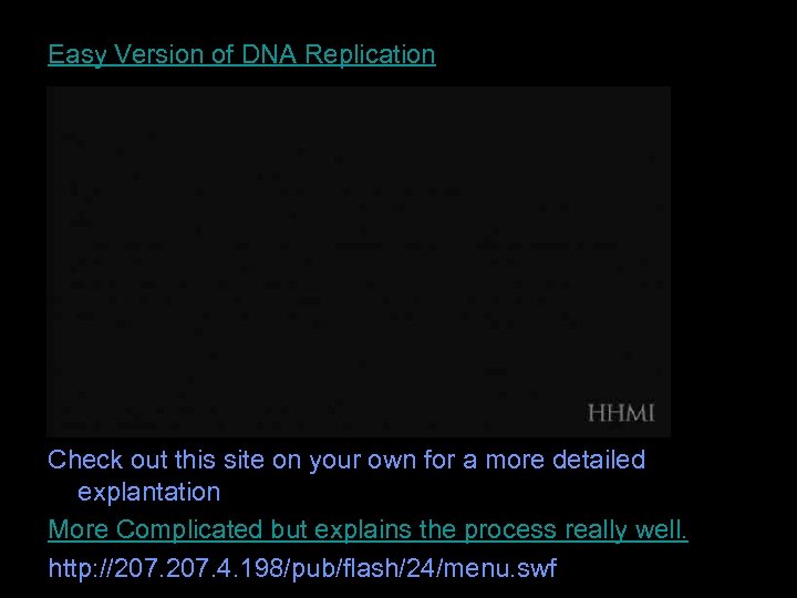 Easy Version of DNA Replication Check out this site on your own for a