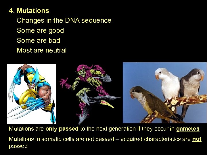 4. Mutations Changes in the DNA sequence Some are good Some are bad Most